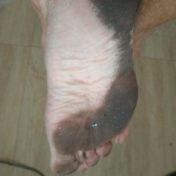 The roads and footpaths are 'filty dirty' ( Mrs. Robson ), and so are my feet at walk's end